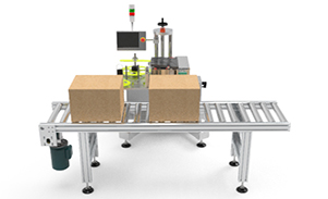 紙盒在線打印貼標(biāo)機(jī)定制